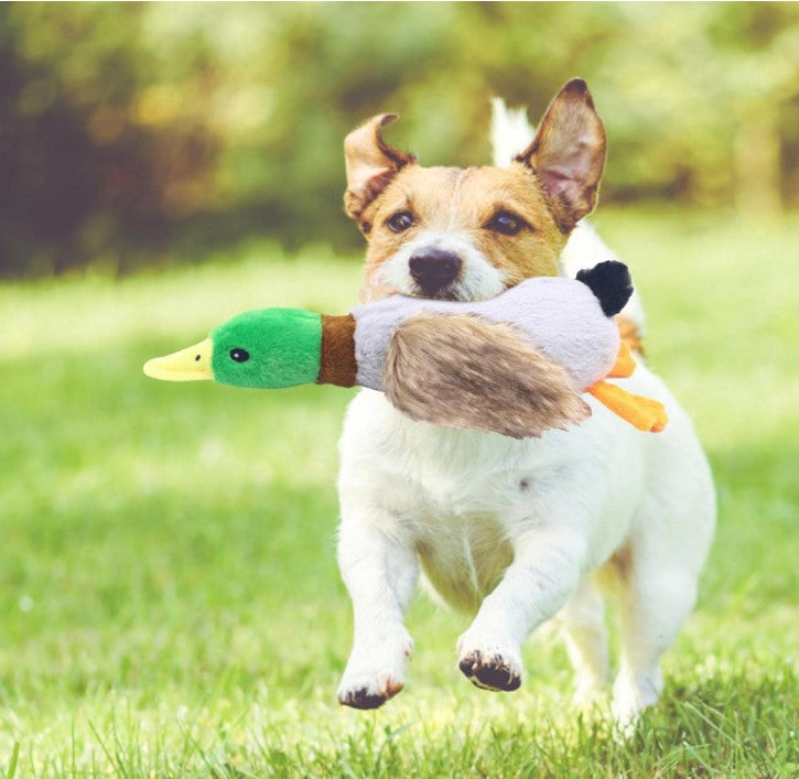 Sesli Ördek Şekilli Peluş Köpek Oyuncağı