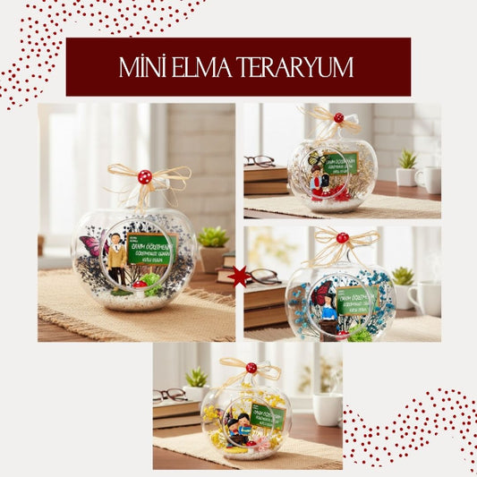 Mini Elma Teraryum - Öğretmenler Günü Hediyesi